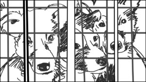 Goldilocks-Lets Take A Ride storyboard portfolio-14