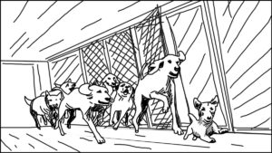 Goldilocks-Lets Take A Ride storyboard portfolio-20